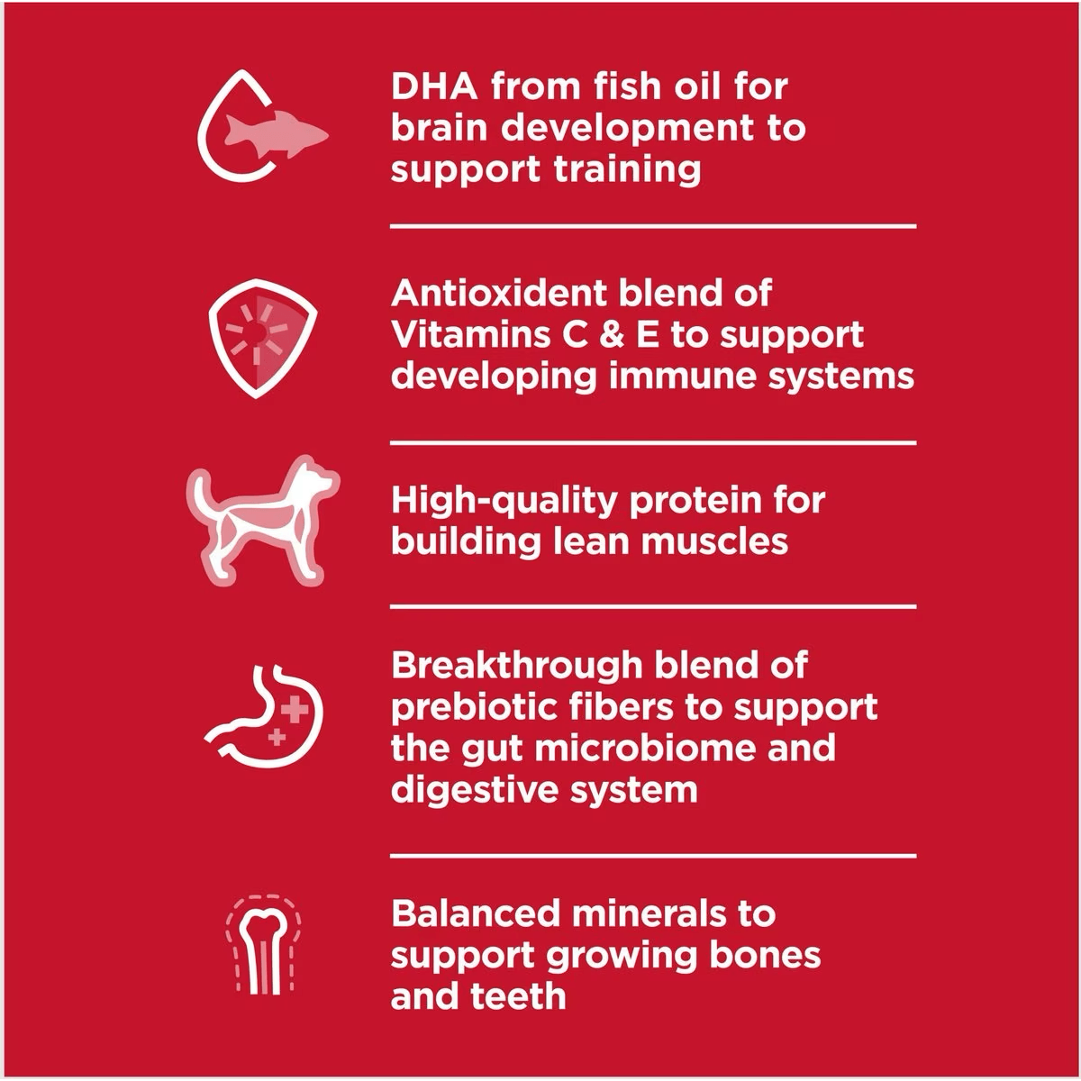 Hill's Science Diet Dry Dog Food, Puppy, Chicken Meal & Barley Recipe - 2.04 Kg - Dog Food - Hill's Science Diet - PetMax Canada