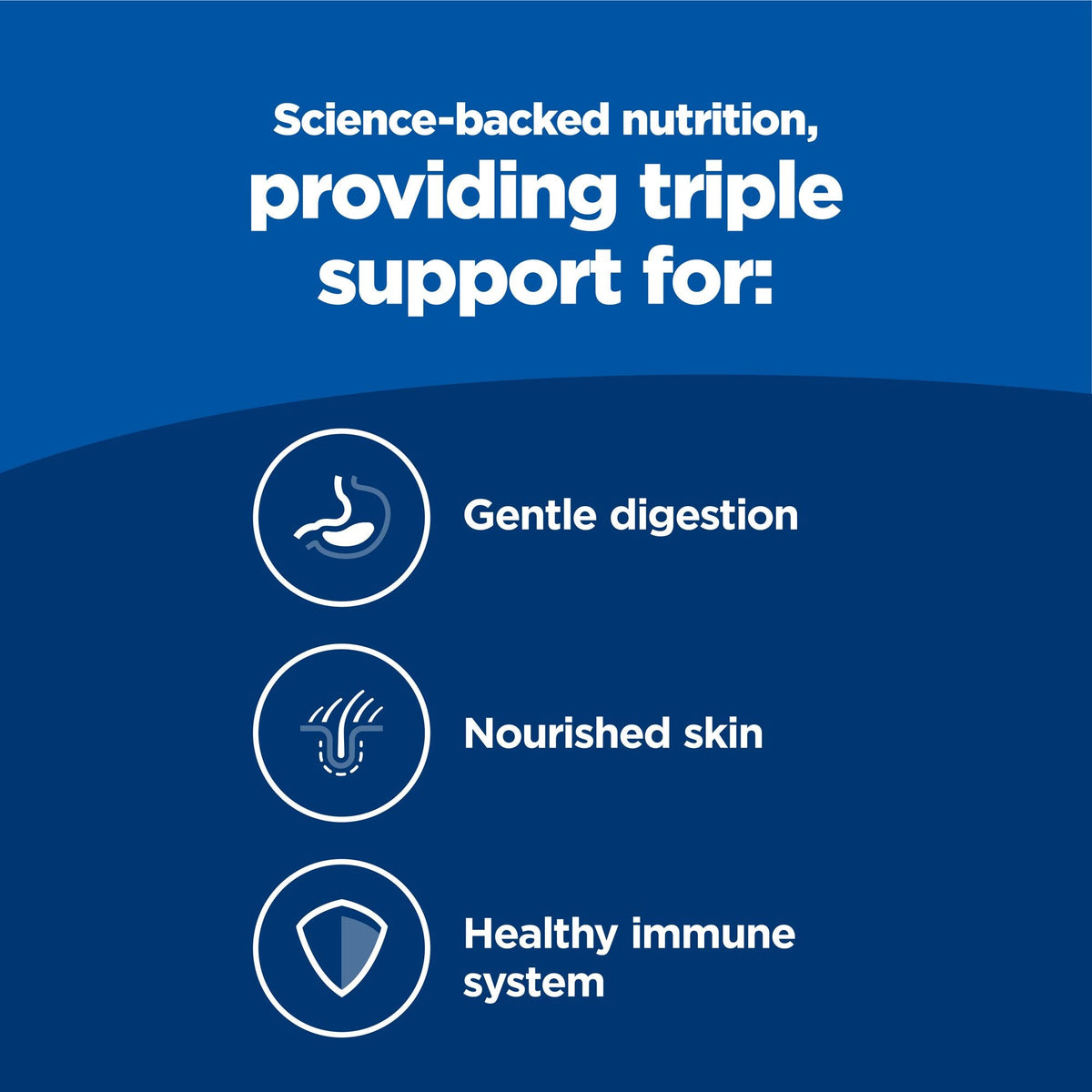 Hill's Science Diet Puppy Sensitive Stomach & Skin Salmon & Vegetable
