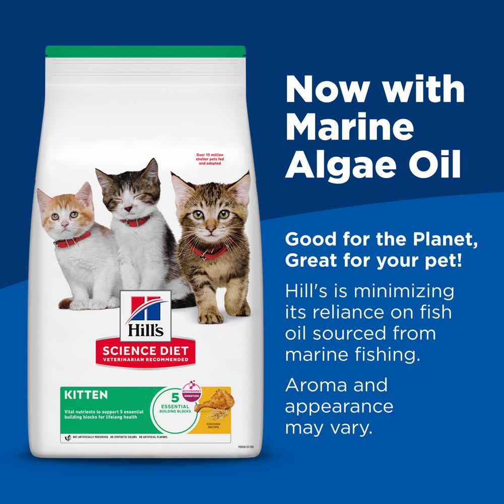 Hill's Science Diet Kitten Chicken Recipe Dry Cat Food