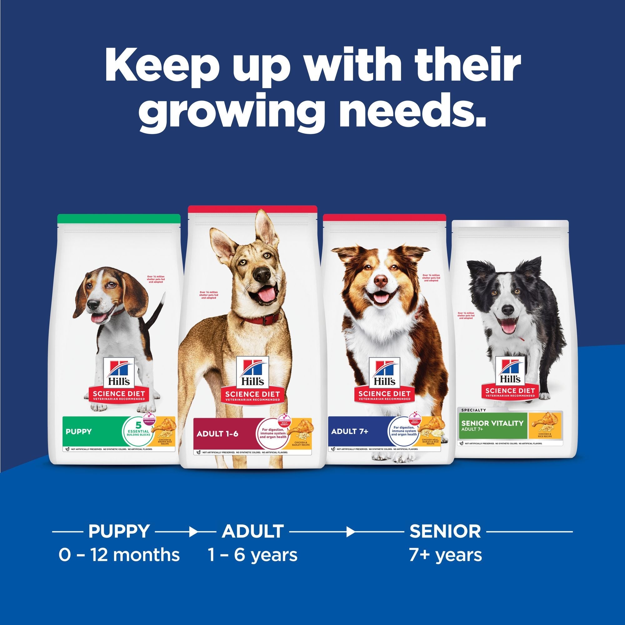 Hill's Science Diet Puppy Chicken & Brown Rice Recipe Dry Dog Food