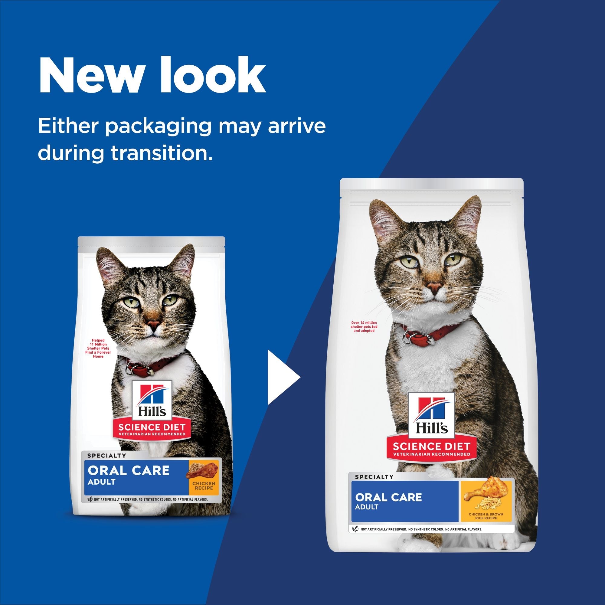 Hill's Science Diet Adult Oral Care Chicken Recipe Dry Cat Food