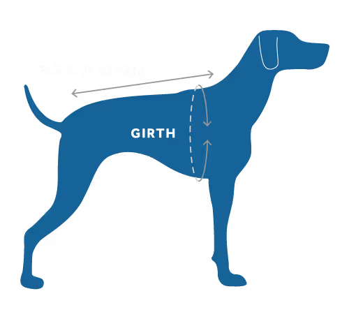 Manteau pour chien Rc Cascade Bleu Arctique