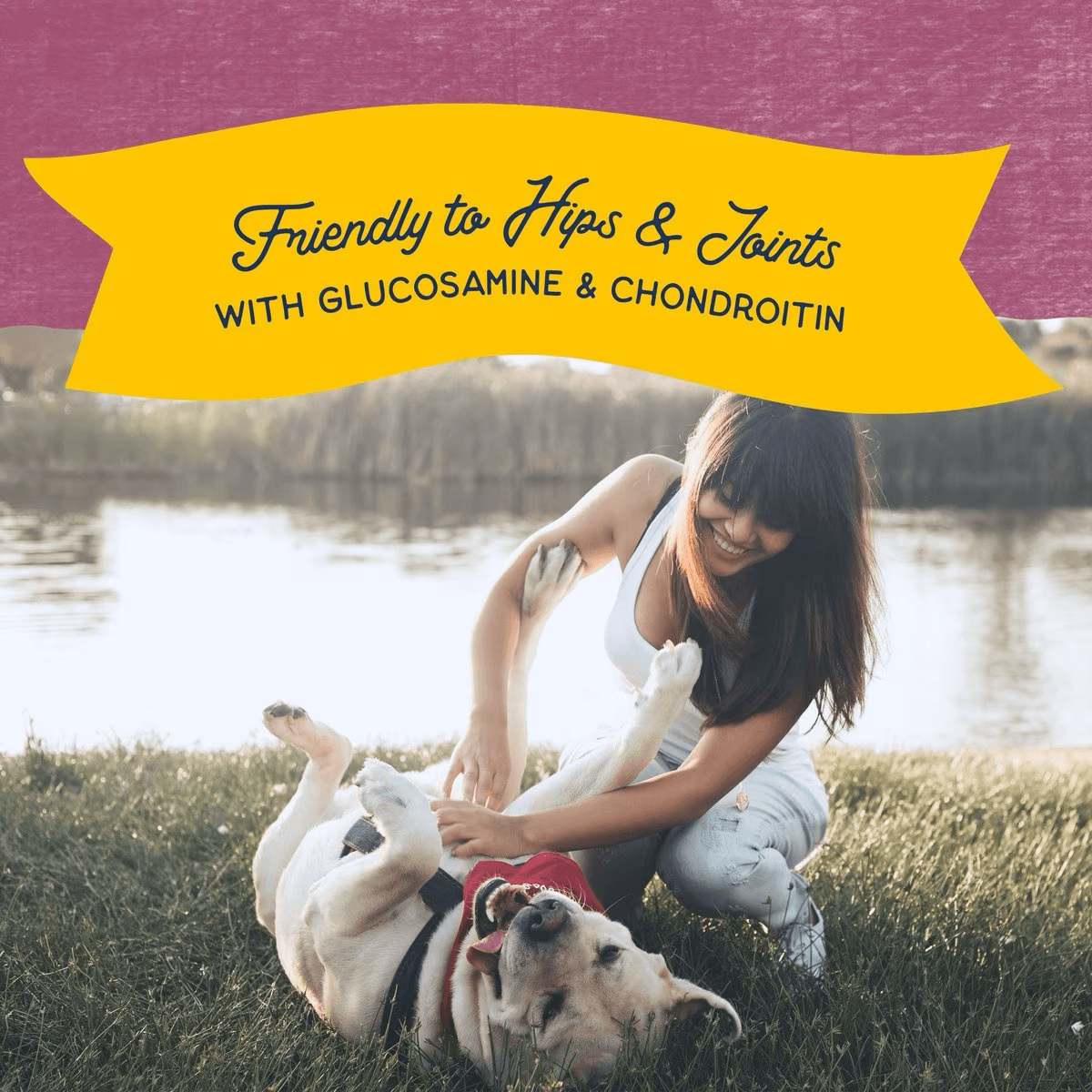 Natural Balance Rewards Jumpin' Stix With Real Venison Dog Treats Dog Treats | PetMax Canada