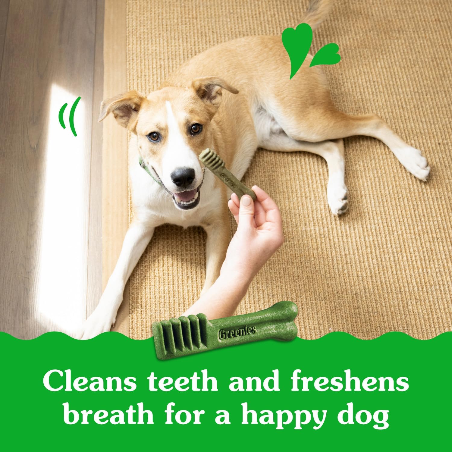 Greenies Puppy Dental Dog Treats