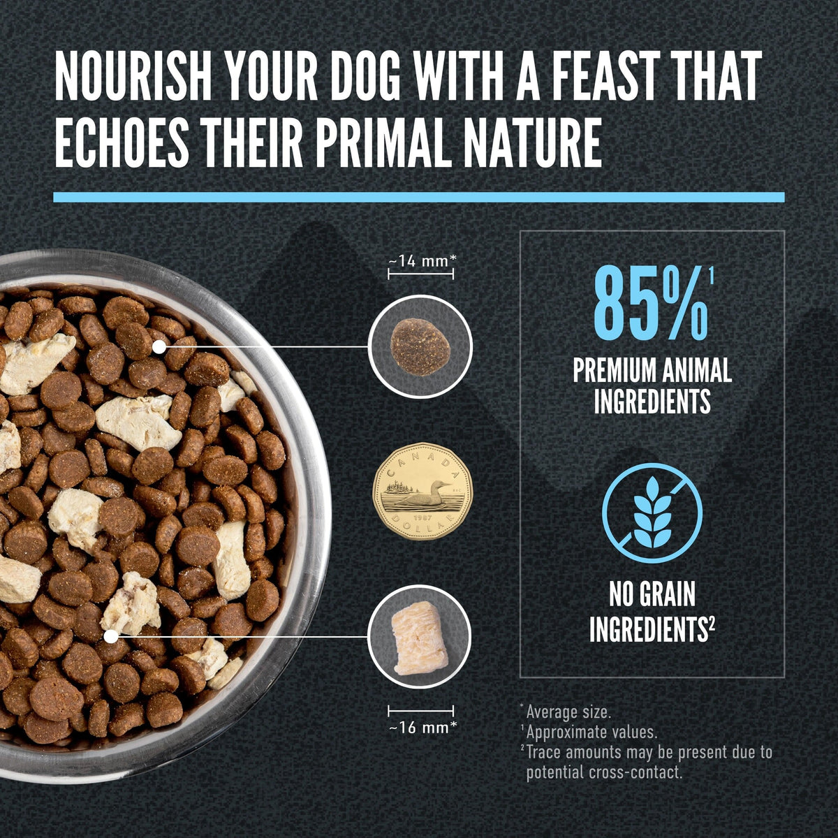 Orijen Wild Reserve Free-Run Chicken Recipe Dry Dog Food - Kibble and morsel size, 85% premium animal ingredients, no grain ingredients - Orijen - PetMax Canada