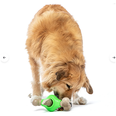 Guru Dog Adjust-A-Chew