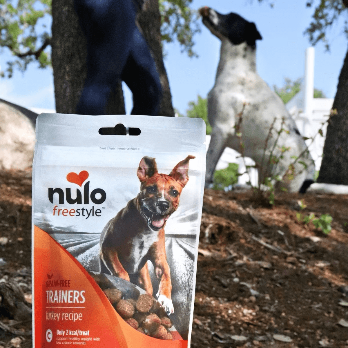 Nulo Freestyle Turkey Recipe Grain-Free Dog Training Treats Dog Treats | PetMax Canada