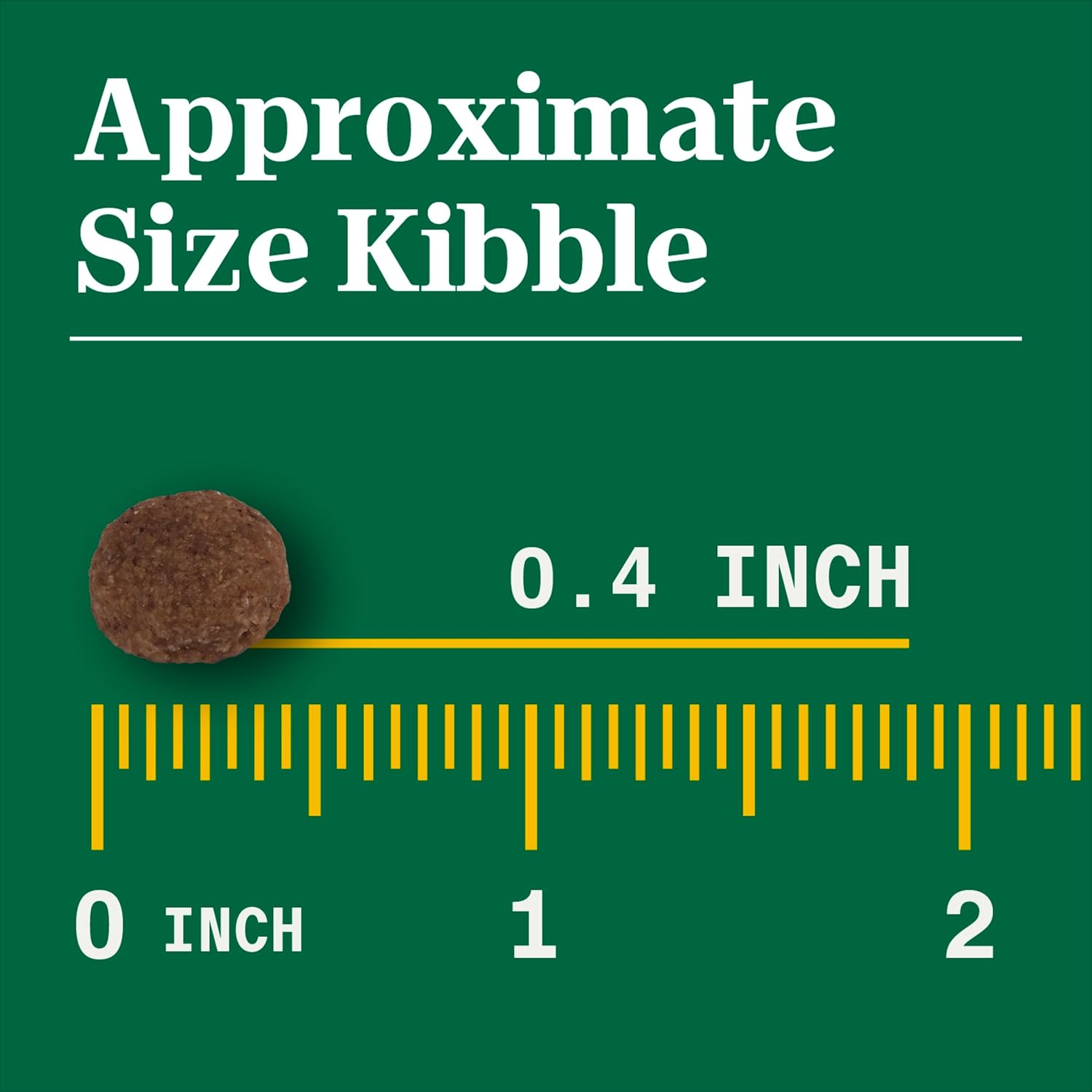 Nutro Wholesome Essentials Nourriture pour chiens adultes Agneau et riz