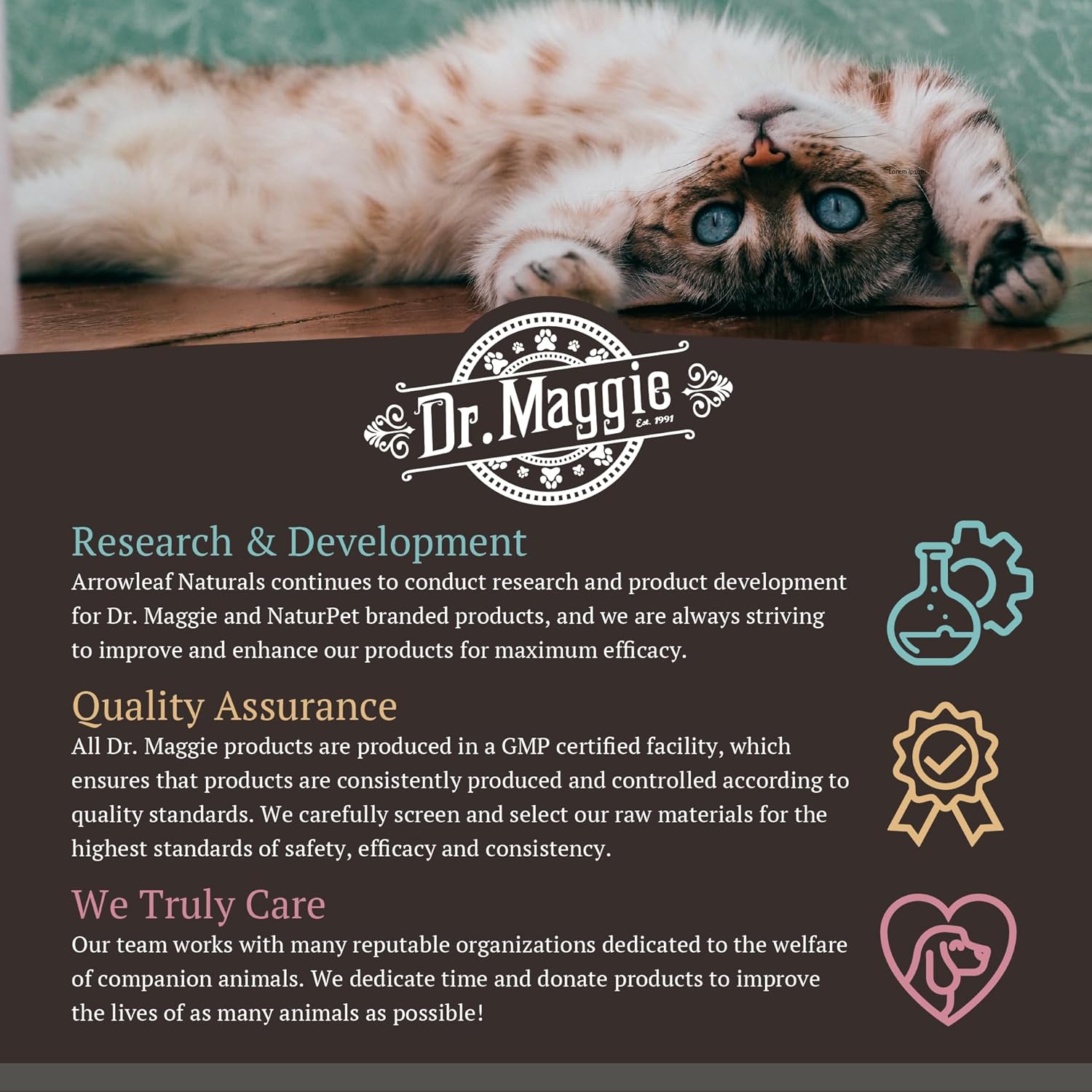 Dr. Maggie Paw Protector Protective Balm for Dogs & Cats