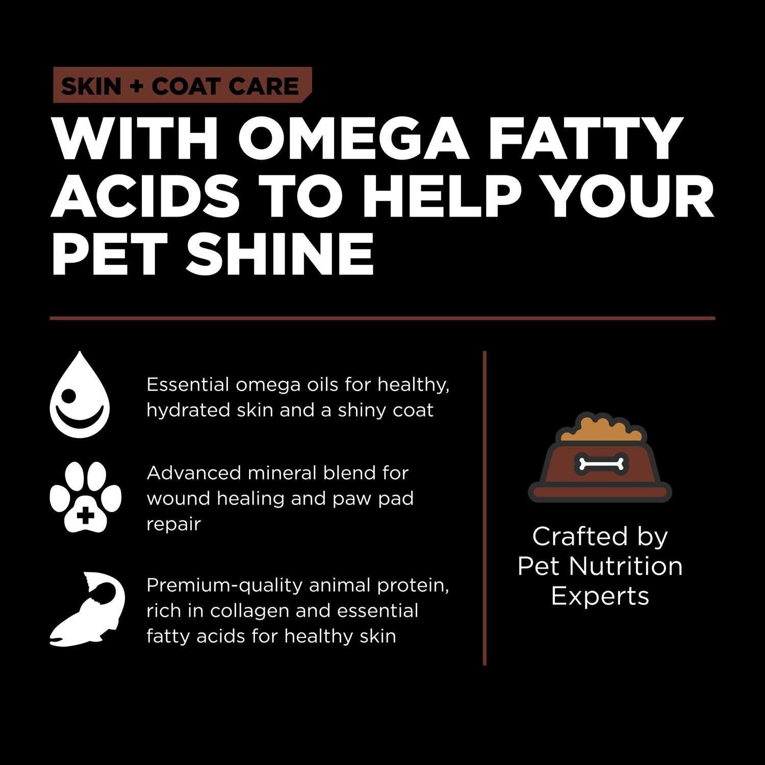 Go! Skin + Coat Care Large Breed Puppy Salmon Recipe With Grains for dogs