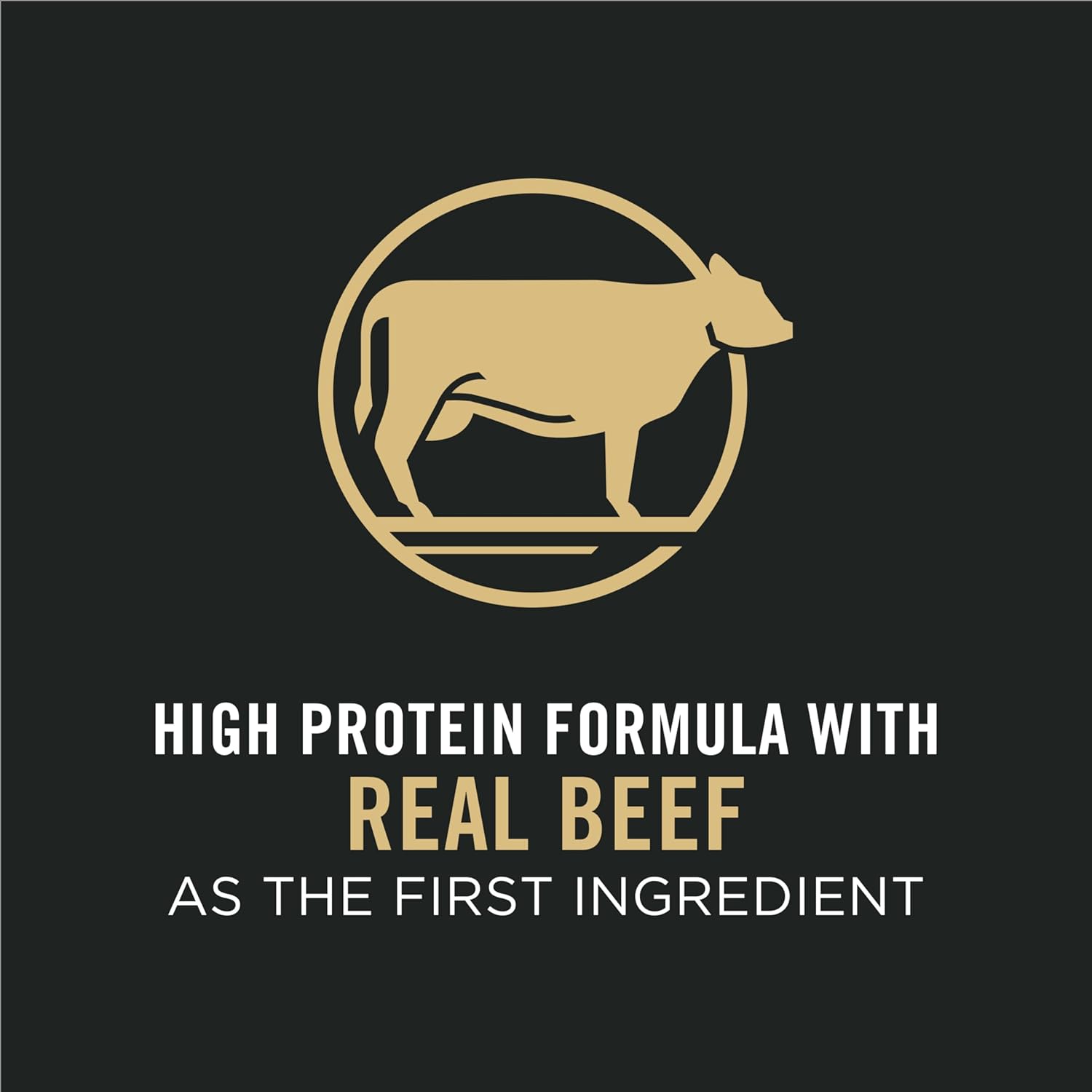 Purina Pro Plan Adult Complete Essentials Shredded Blend Beef & Rice Nourriture sèche pour chiens