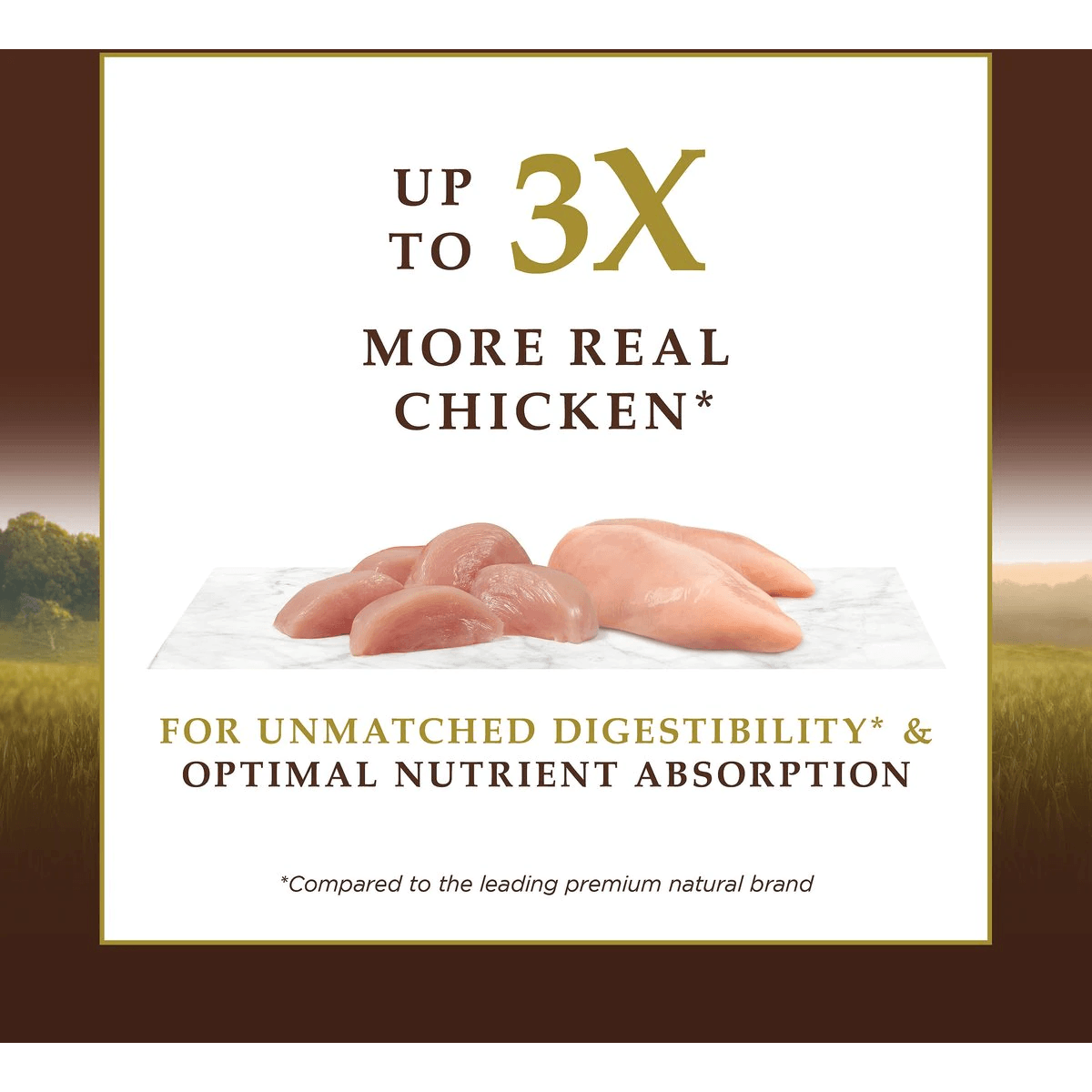 Instinct Ultimate Protein Grain-Free Cage-Free Chicken Recipe Dry Cat Food - 1.8 Kg - Cat Food - Instinct - PetMax Canada