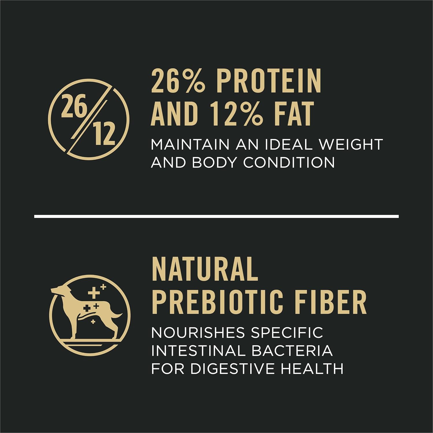 Purina Pro Plan Santé des articulations Nourriture pour chiens de grande race Formule poulet et riz