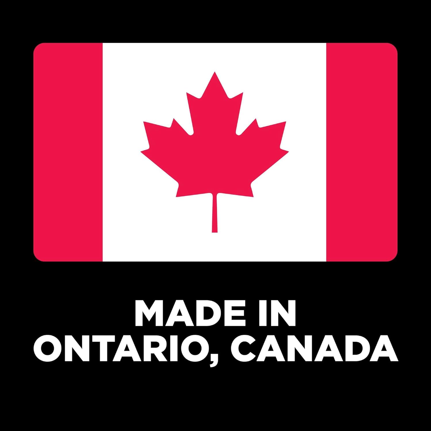 Go! Weight Management + Joint Care Grain-Free Salmon Recipe for cats