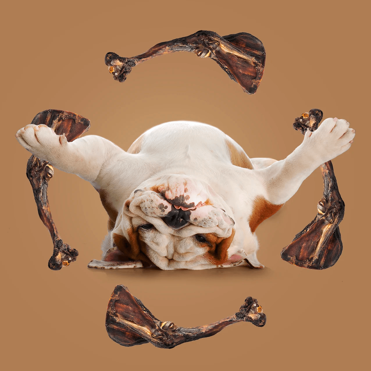 Roam Roo Big Bondi Dog Bone Treat Natural Chews | PetMax Canada