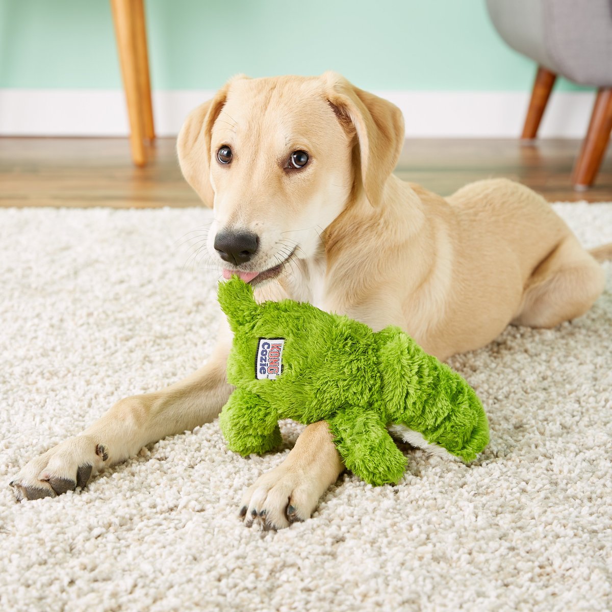 Kong Cozie Ali Alligator Dog Toy