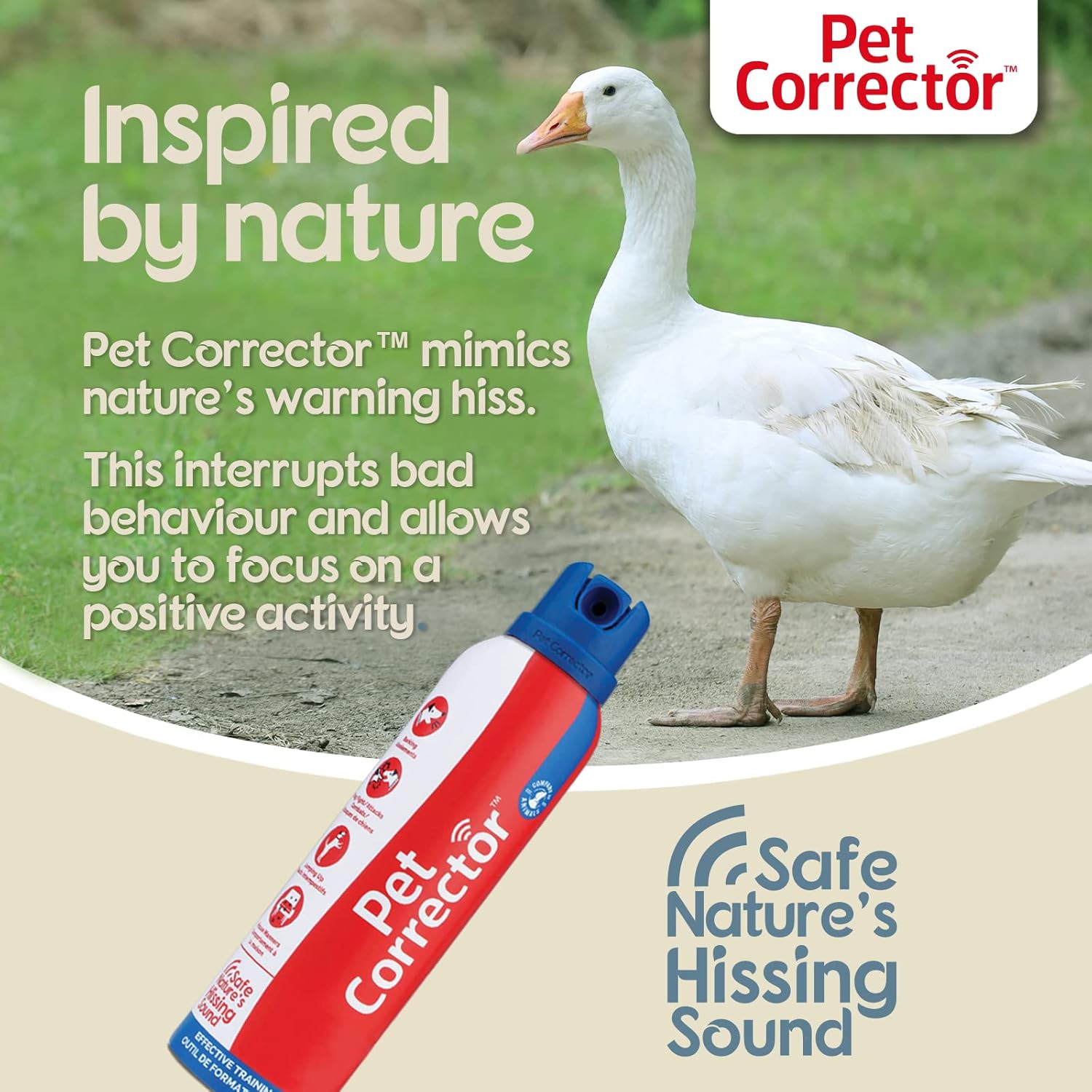 Pet Correcteur Air Comprimé