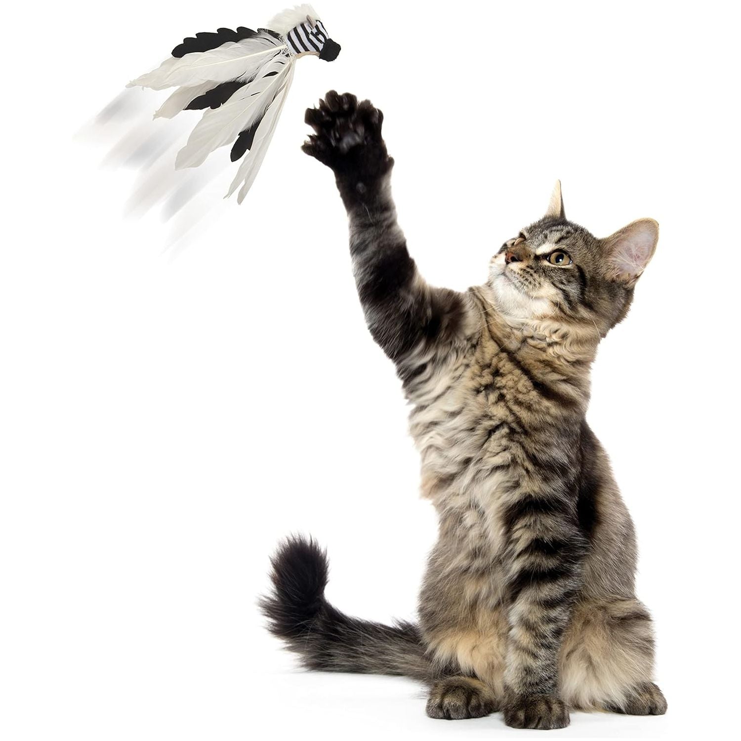 Instincts Cat Zingy Zebratoss & Chase Happy Nip Feathered
