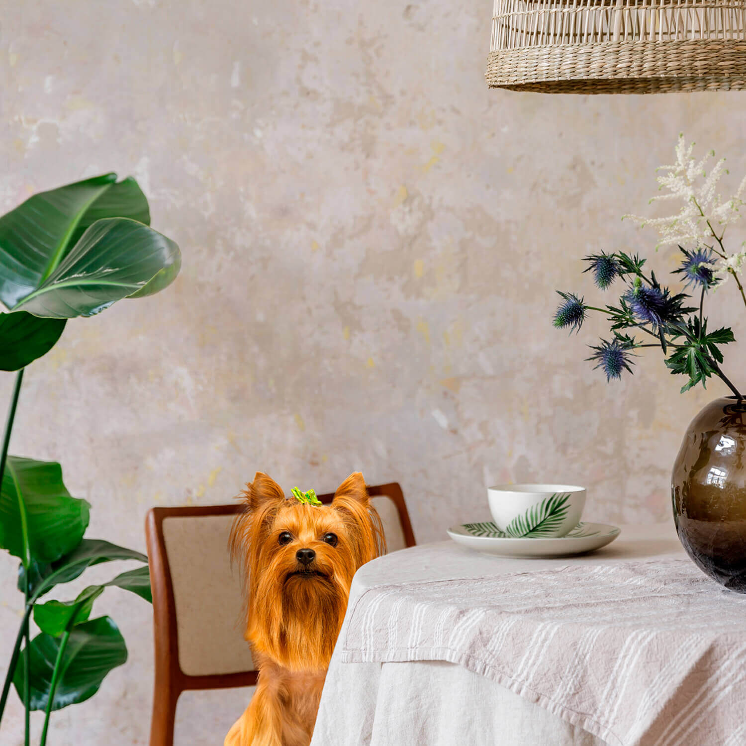 Nourriture pour chiens adultes de petite race Fromm Gold