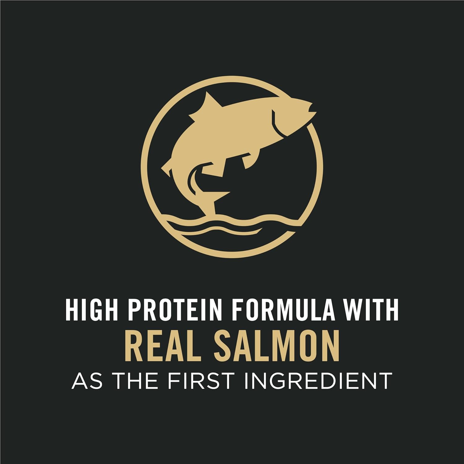 Purina Pro Plan Nourriture pour chiens riche en protéines avec probiotiques pour chiens Mélange déchiqueté Formule saumon et riz