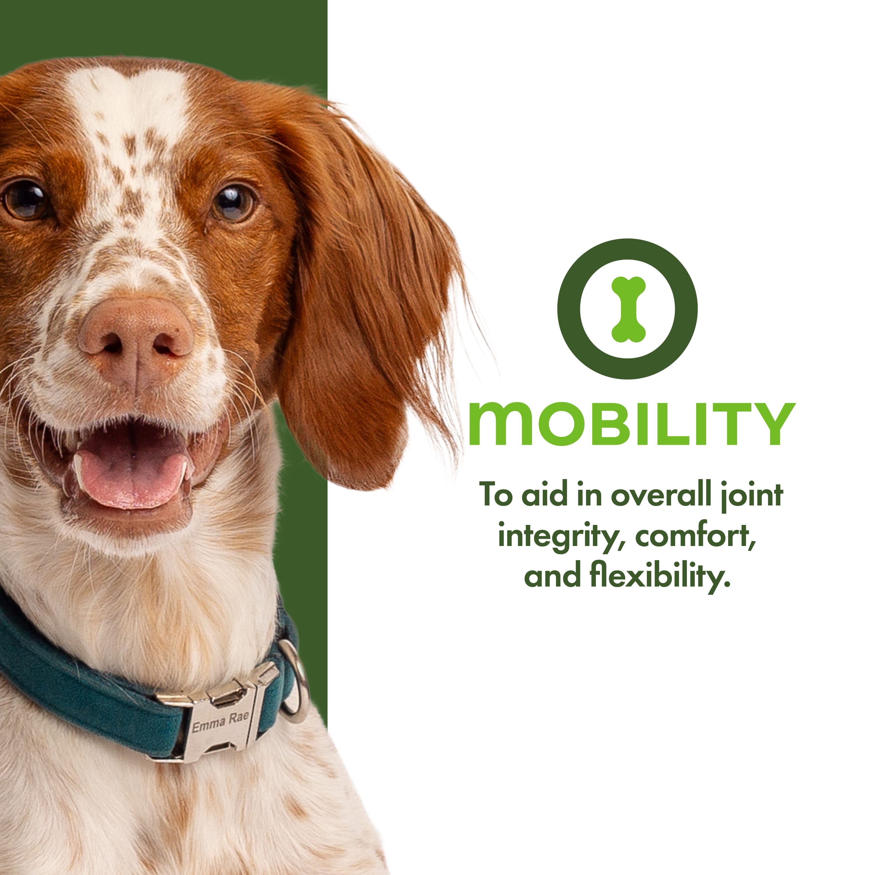 Fromm Nutritionals Mobility Dog Supplement