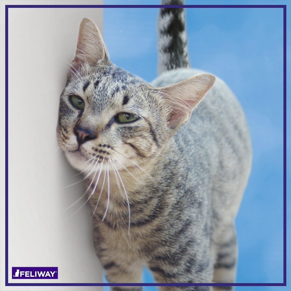 Feliway Classic Recharge Diffuseur Apaisant pour Chats, 30 jours