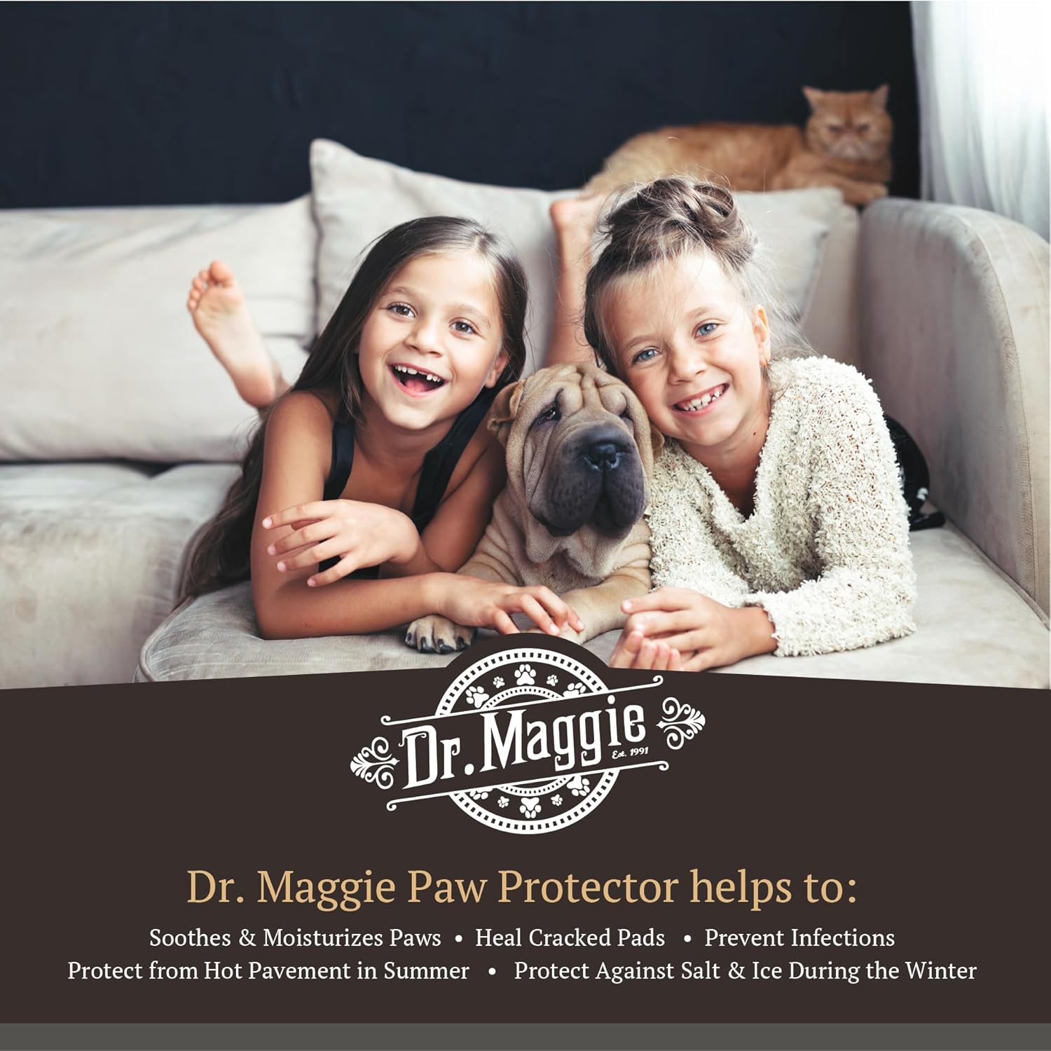 Dr. Maggie Paw Protector Protective Balm for Dogs & Cats