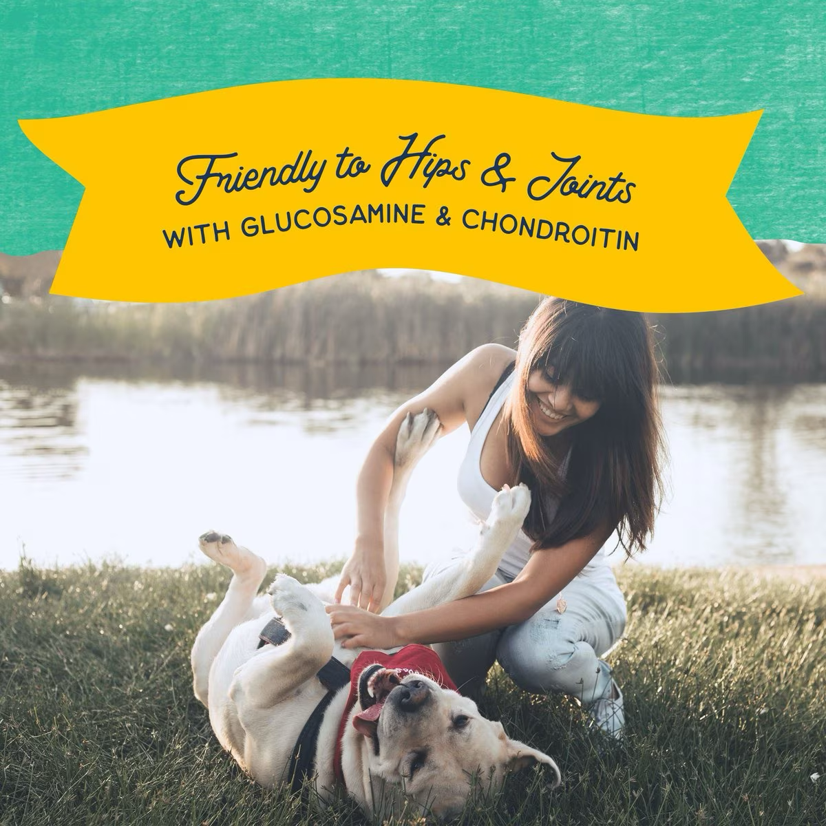 Natural Balance Rewards Jumpin' Stix with Real Chicken Dog Treats Dog Treats | PetMax Canada