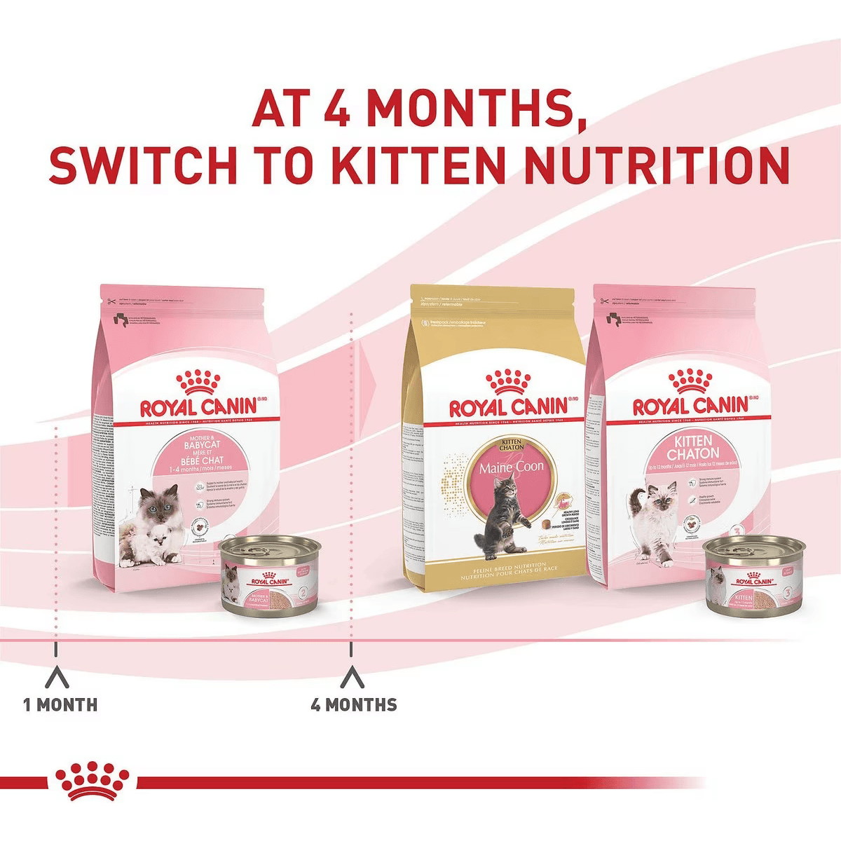 Royal Canin Feline Health Nutrition Mother & Babycat Dry Cat Food Cat Food | PetMax Canada