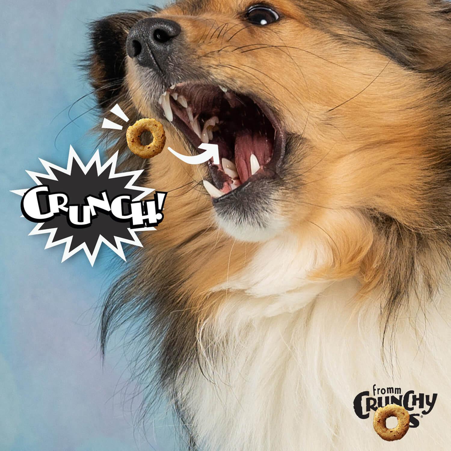 Fromm Crunchy O's Bacon Blasters Dog Treats - 737g - Dog Treats - Fromm - PetMax Canada