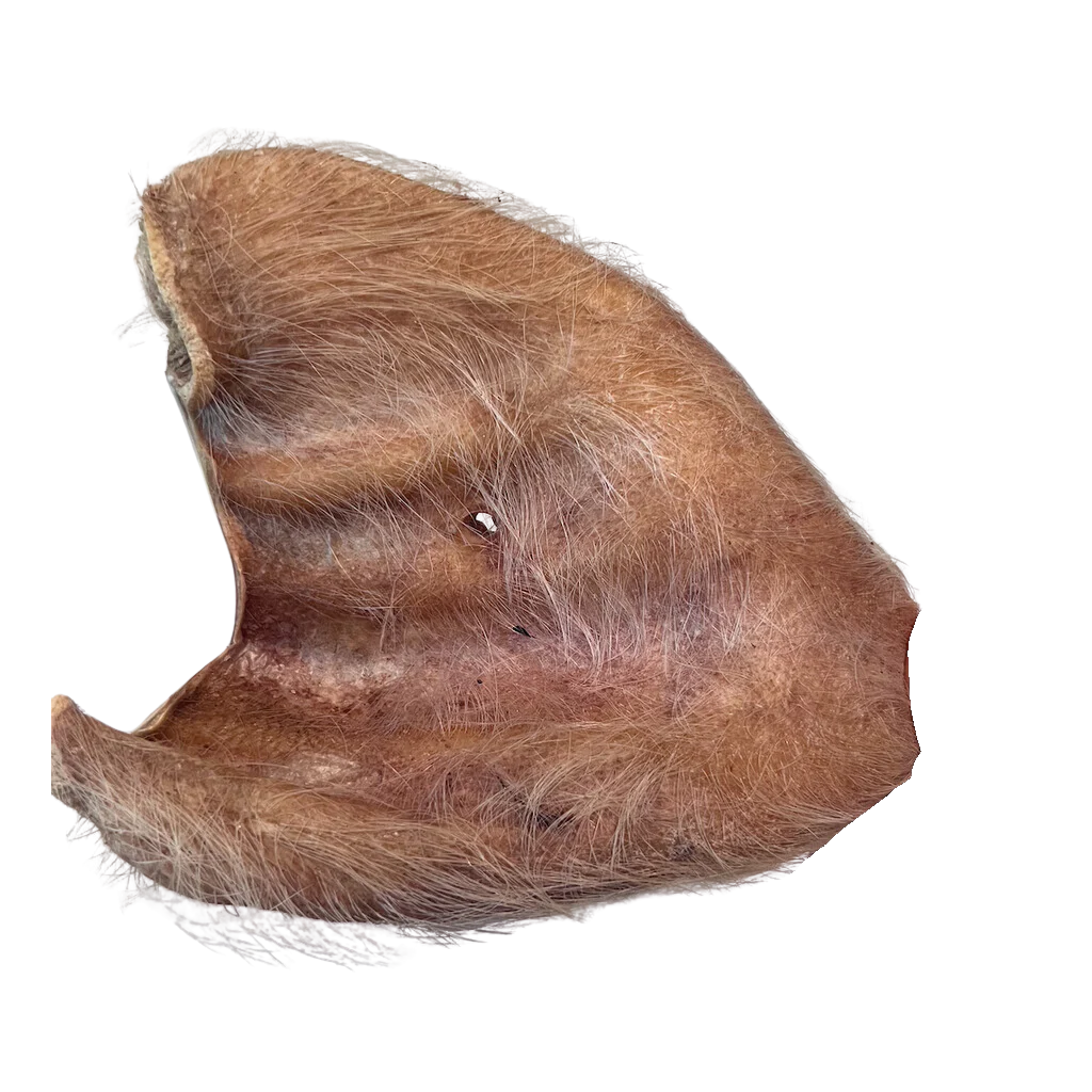 Momentum Freeze Dried Hairy Pig Ears