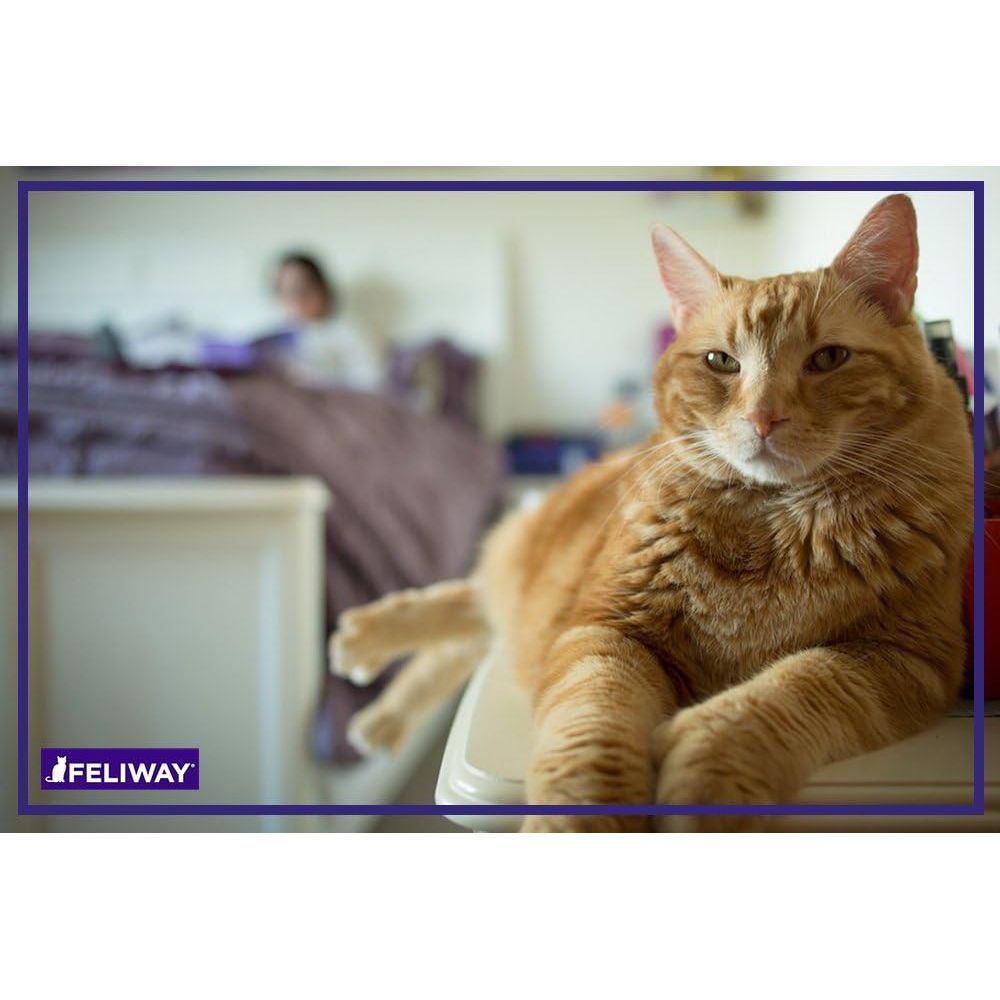 Feliway Classic Recharge Diffuseur Apaisant pour Chats, 30 jours