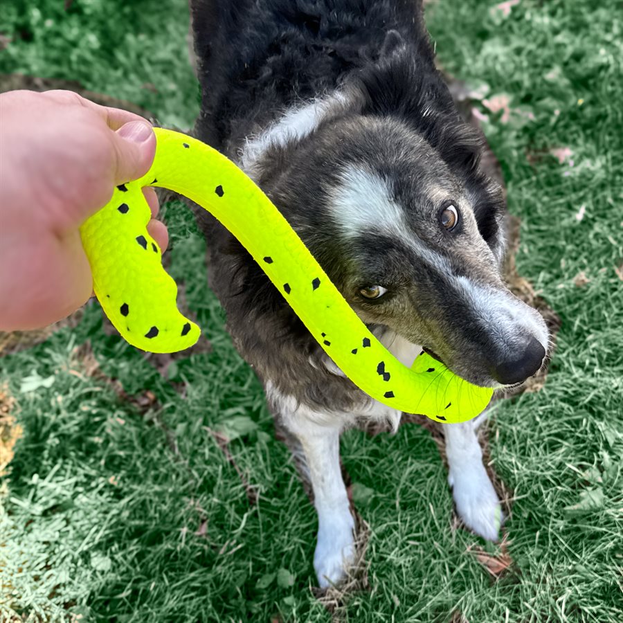 Kong Dog Reflex Tug N Fetch