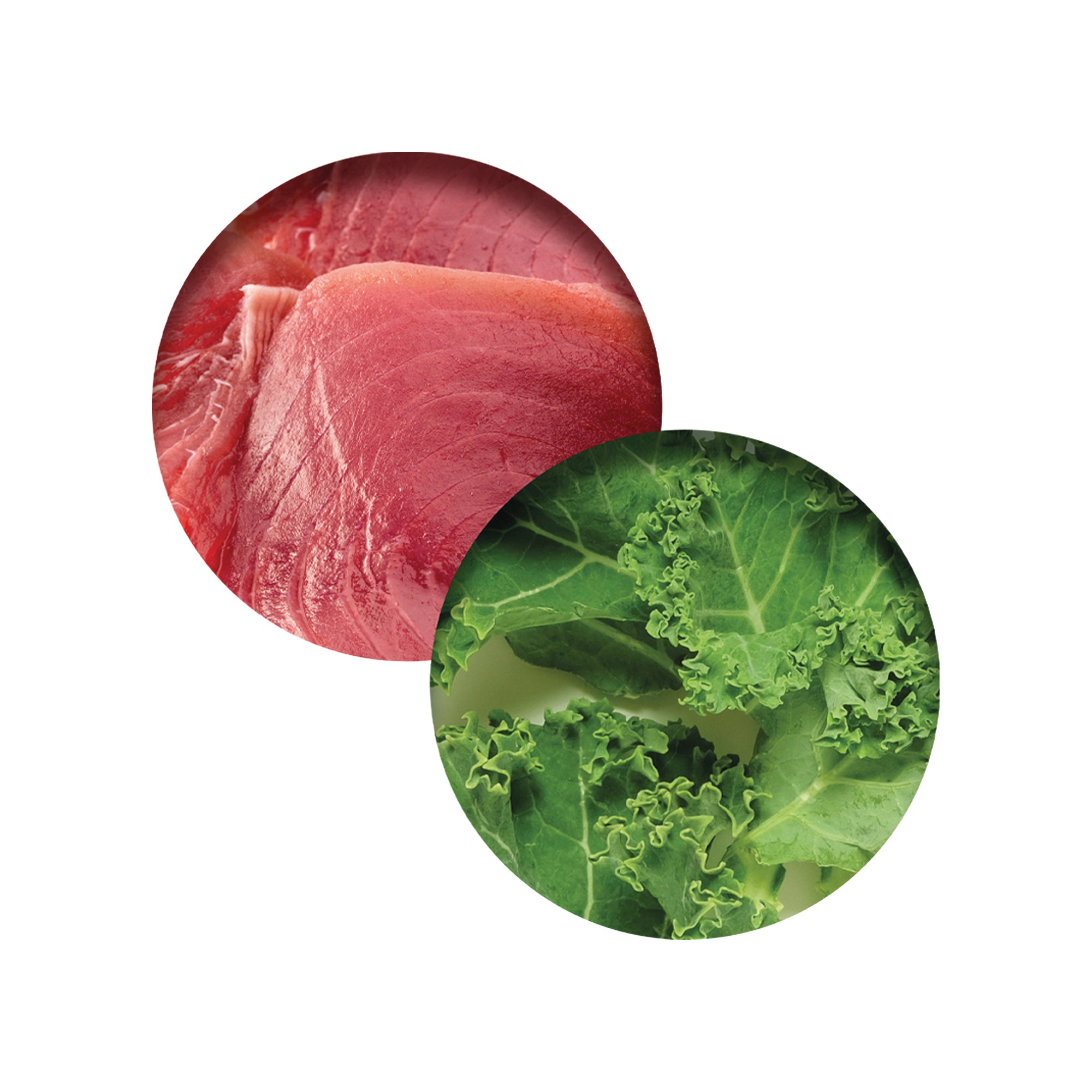 Nourriture humide pour chats CatIt Dîner au poulet avec thon et chou frisé