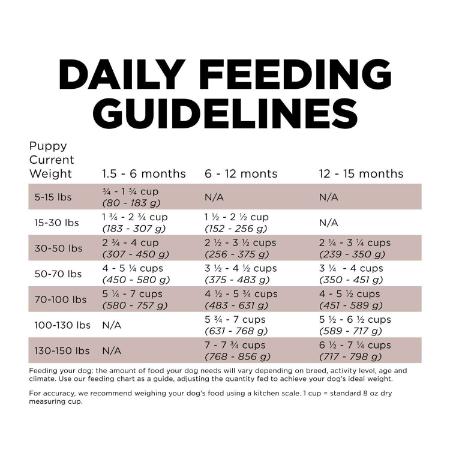 Go! Skin + Coat Care Large Breed Puppy Salmon Recipe With Grains for dogs