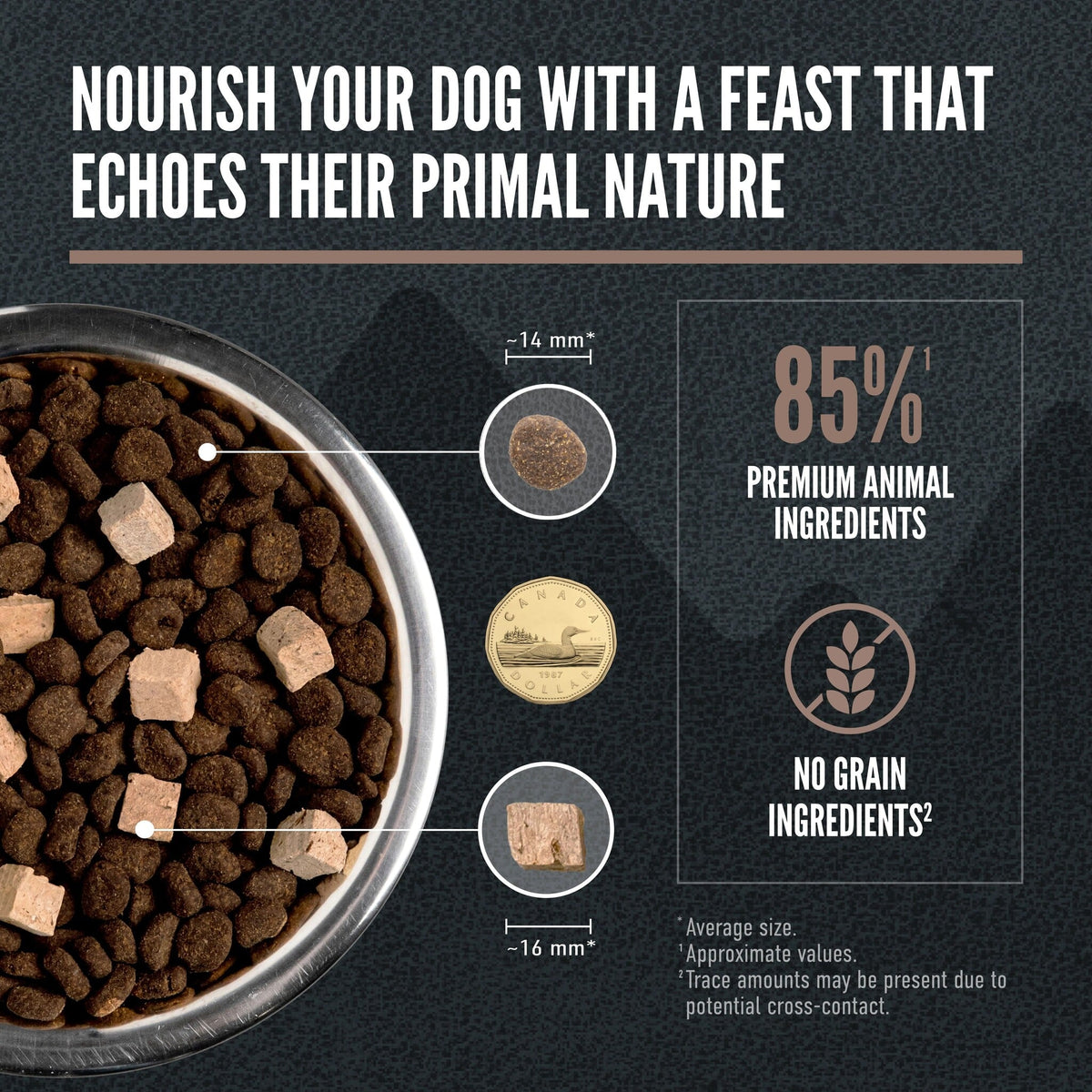 Orijen Wild Reserve Farm-Raised Beef & Lamb Recipe Dry Dog Food - Kibble and beef liver morsel size - Orijen - PetMax Canada
