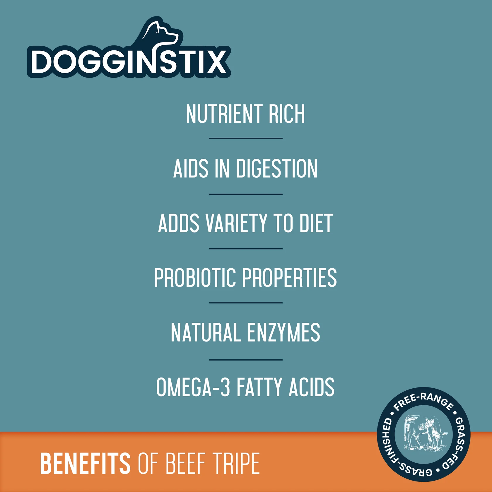 Dogginstix Braided Beef Tripe