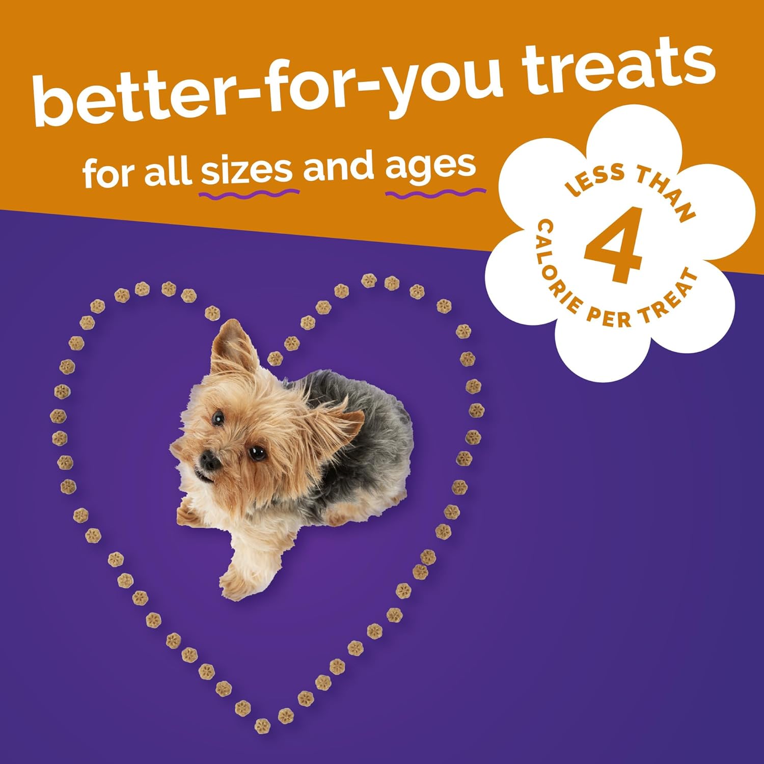 Fruitables Skinny Minis Dog Treats Rotisserie Chicken