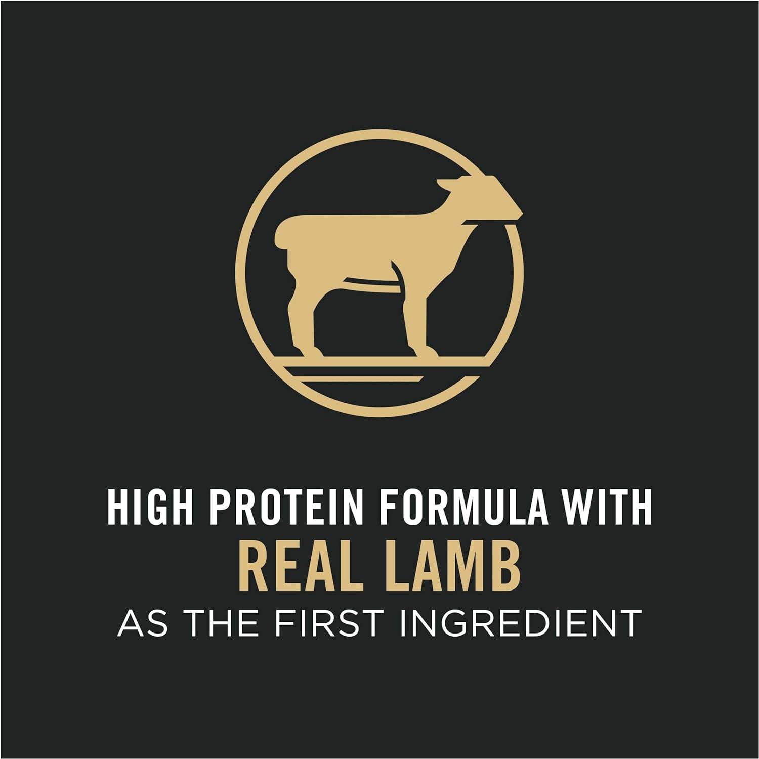 Purina Pro Plan Dog Food Adult Small Bites 27/17 Lamb & Rice