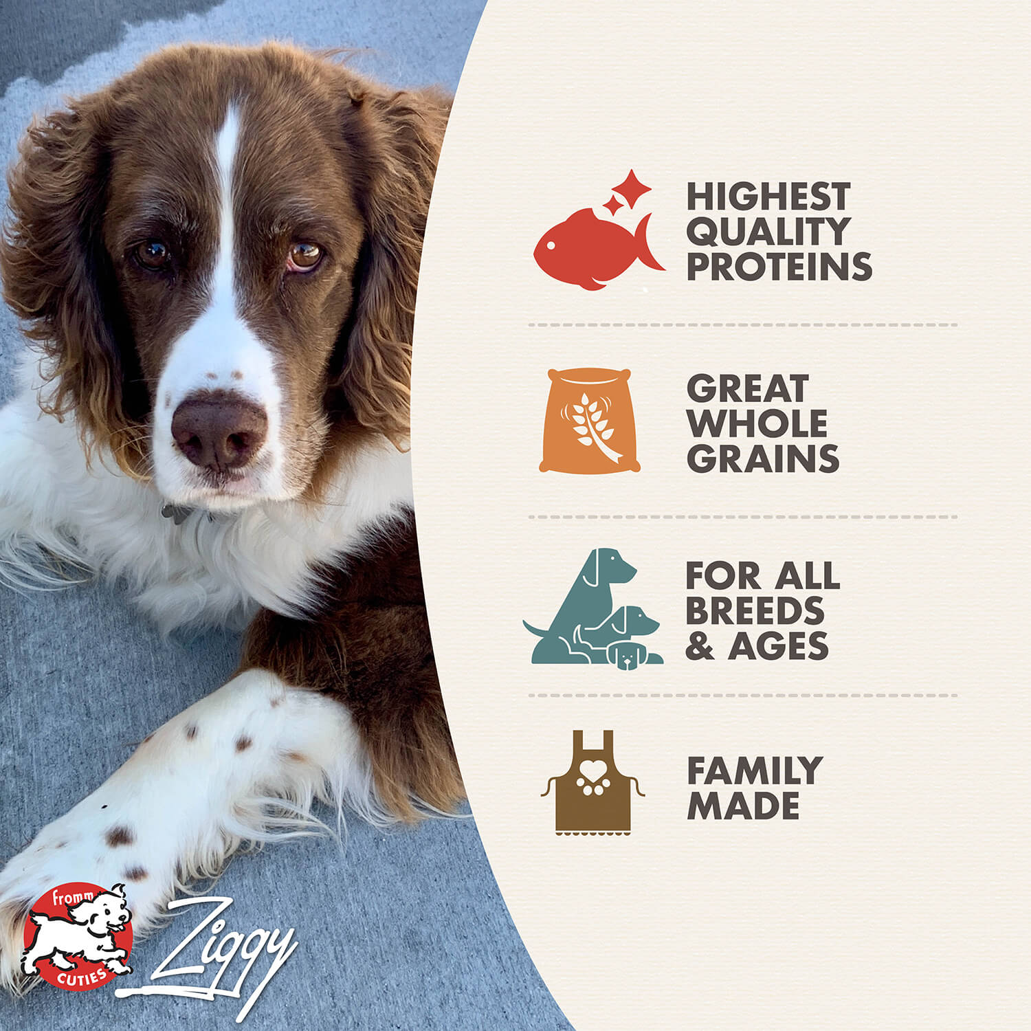 Fromm Four Star Trout And Whitefish Dog Food