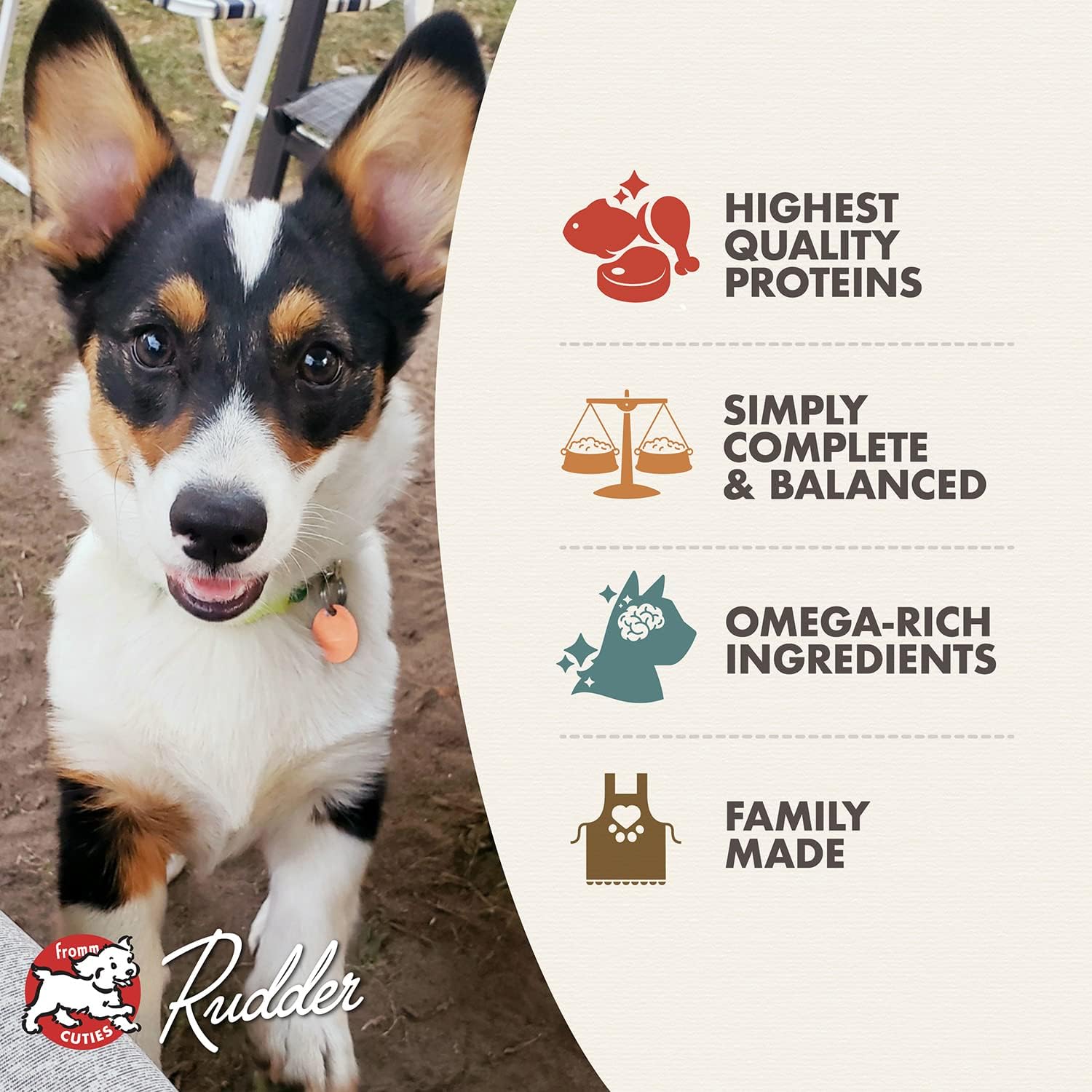 Fromm Canned Dog Food Classic Puppy Chicken and Salmon