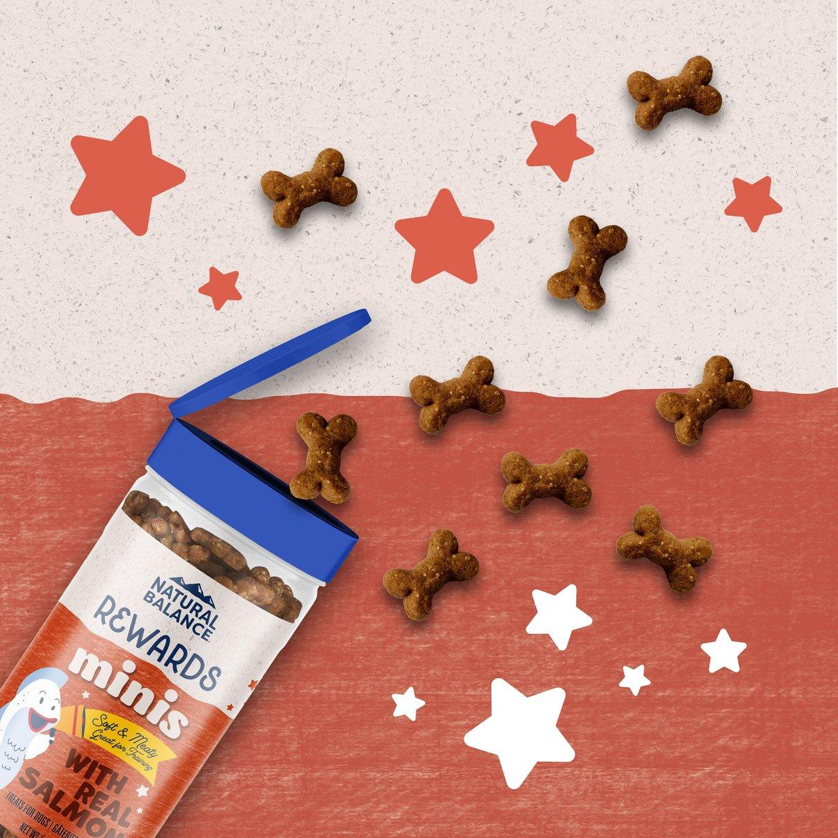 Natural Balance Rewards Minis with Real Salmon Dog Treats - 150g - Dog Treats - Natural Balance - PetMax Canada