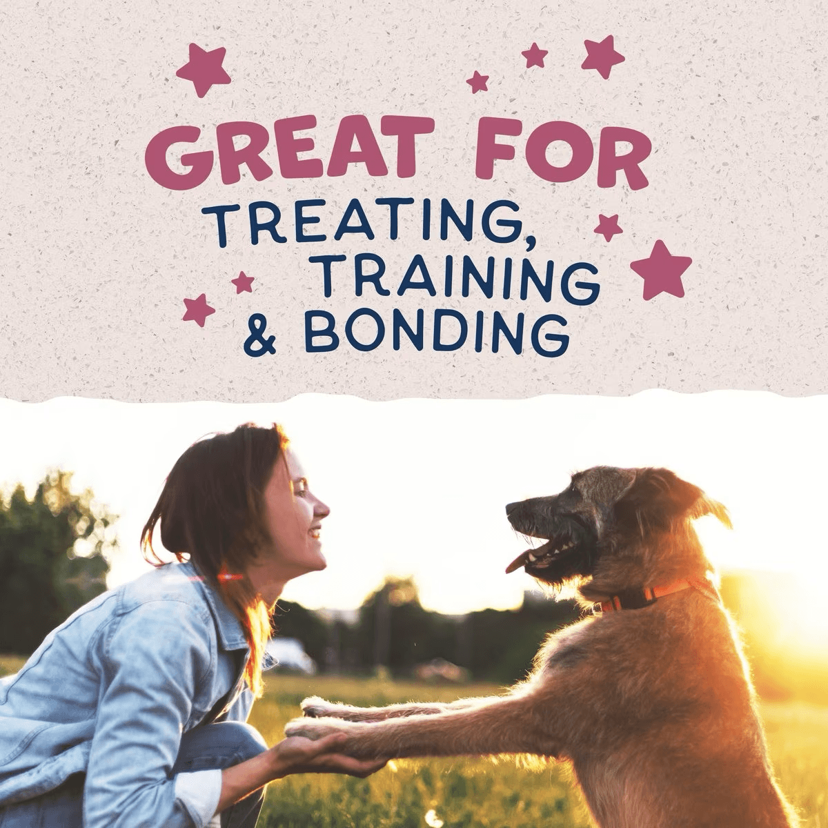 Natural Balance Rewards Jumpin' Stix With Real Venison Dog Treats Dog Treats | PetMax Canada