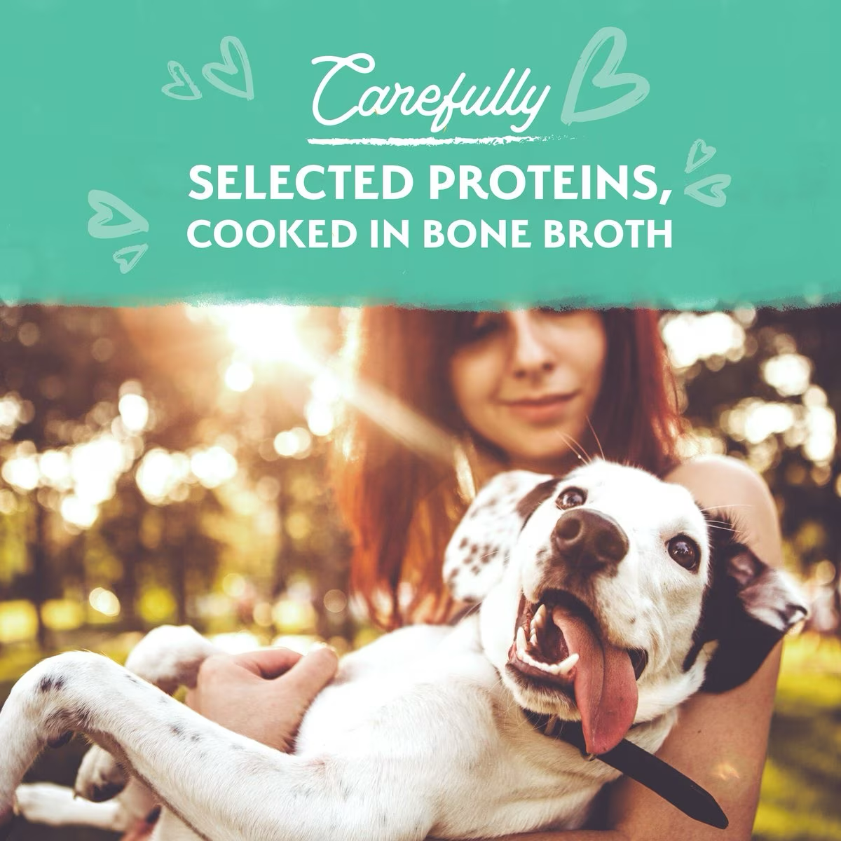 Natural Balance Limited Ingredient Grain-Free Chicken Stew Wet Dog Food Canned Dog Food | PetMax Canada