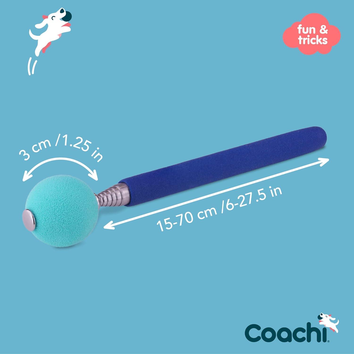 Coachi Target Stick - Default Title - Training Products - COACHI - PetMax Canada