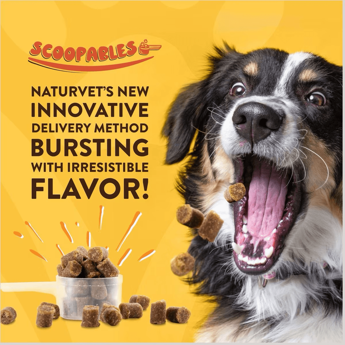 NaturVet Scoopables All-In-One 4-in-1 Support Dog Supplement - Default Title - Health Care - Naturvet - PetMax Canada