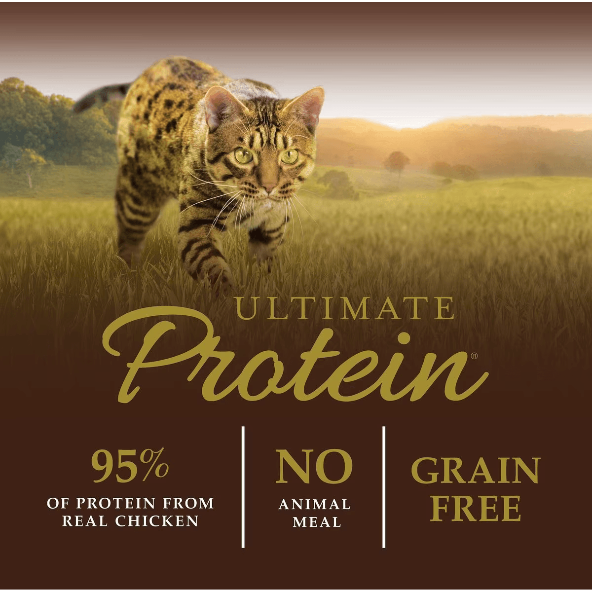 Instinct Ultimate Protein Grain-Free Cage-Free Chicken Recipe Dry Cat Food - 1.8 Kg - Cat Food - Instinct - PetMax Canada