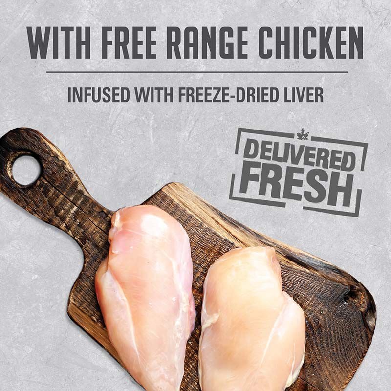 Nutrience Dog Infusion Pate Free Range Chicken