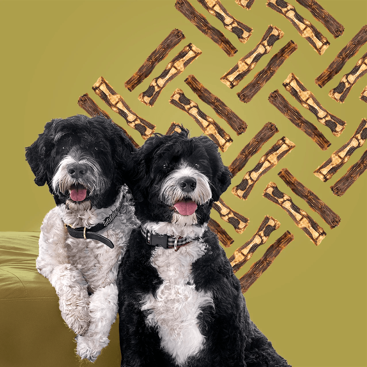 Roam Roo In Two Kangaroo Dog Bone Treat Natural Chews | PetMax Canada