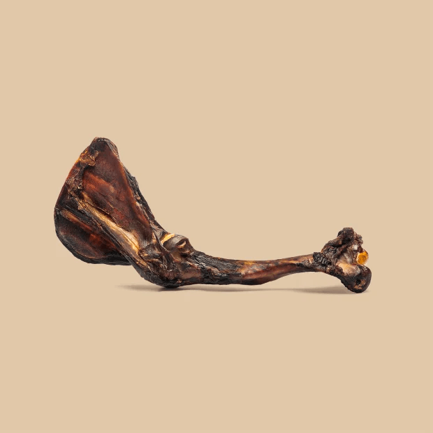 Roam Roo Big Bondi Dog Bone Treat Natural Chews | PetMax Canada